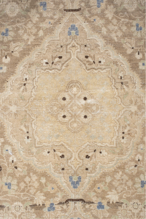 Antique Sarouk Area Rug (4' x 6')
